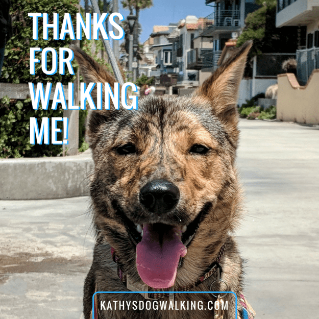 Nala Jindo Manhattan Beach Walk